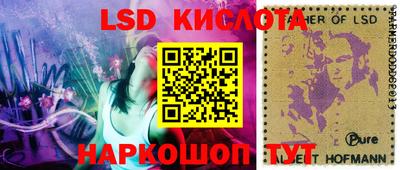 СК Донской