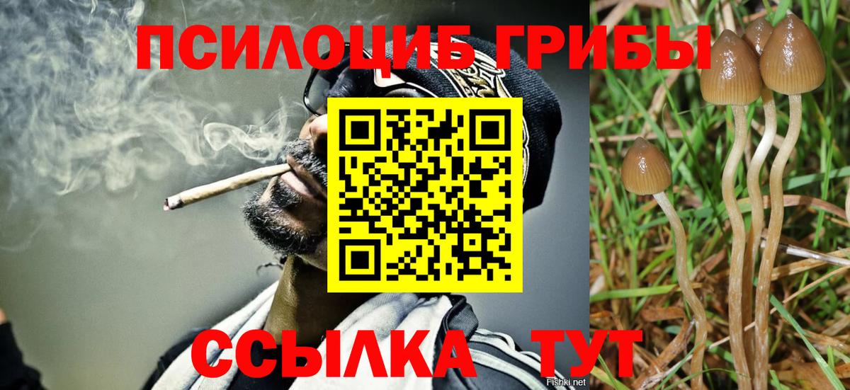 Королёв  Псилоцибиновые грибы MAGIC MUSHROOMS  Вход с VPN 