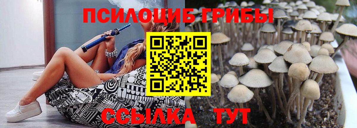 Галлюциногенные грибы MAGIC MUSHROOMS Королёв